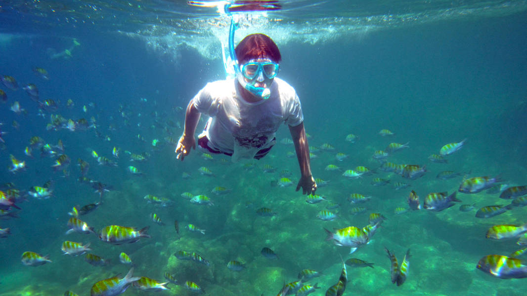 snorkeling